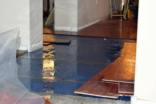 Professional Sewage Cleanup technician working in Riverdale, MI