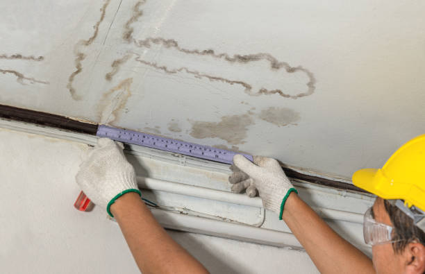 Reliable Sewage Cleanup contractor in Riverdale, MI by Local Water Damage Repair